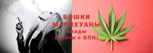 apvp Богородицк