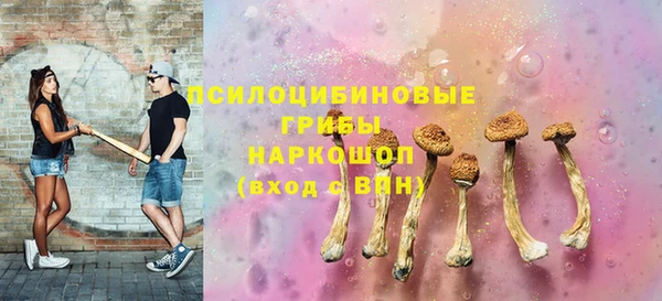 прущий лед Белокуриха