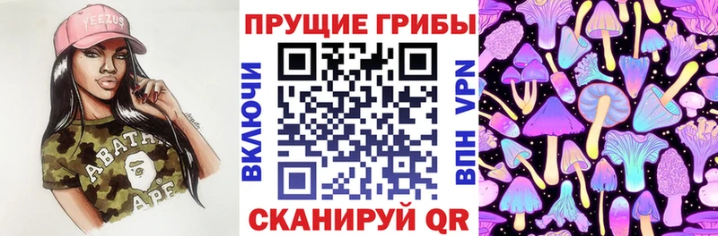 Галлюциногенные грибы Psilocybe  Гремячинск 